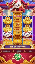 ring77games · Fortune Rabbit